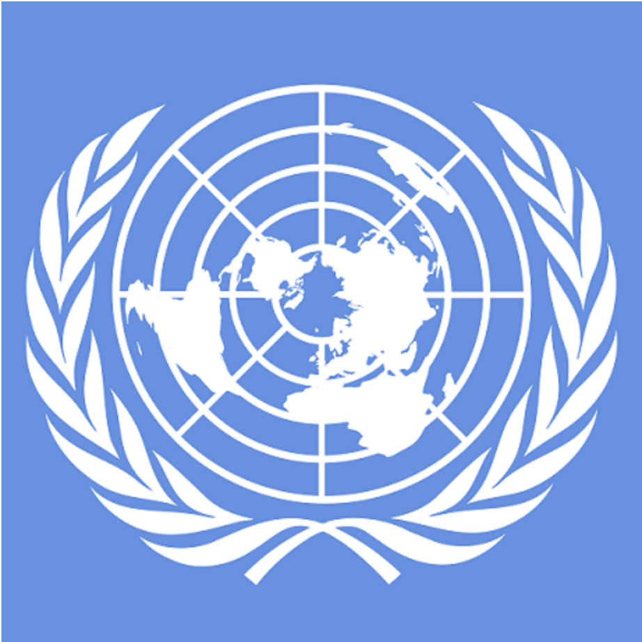 New Delegates Explore MUN for the First Time